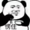 Dongjing Z.